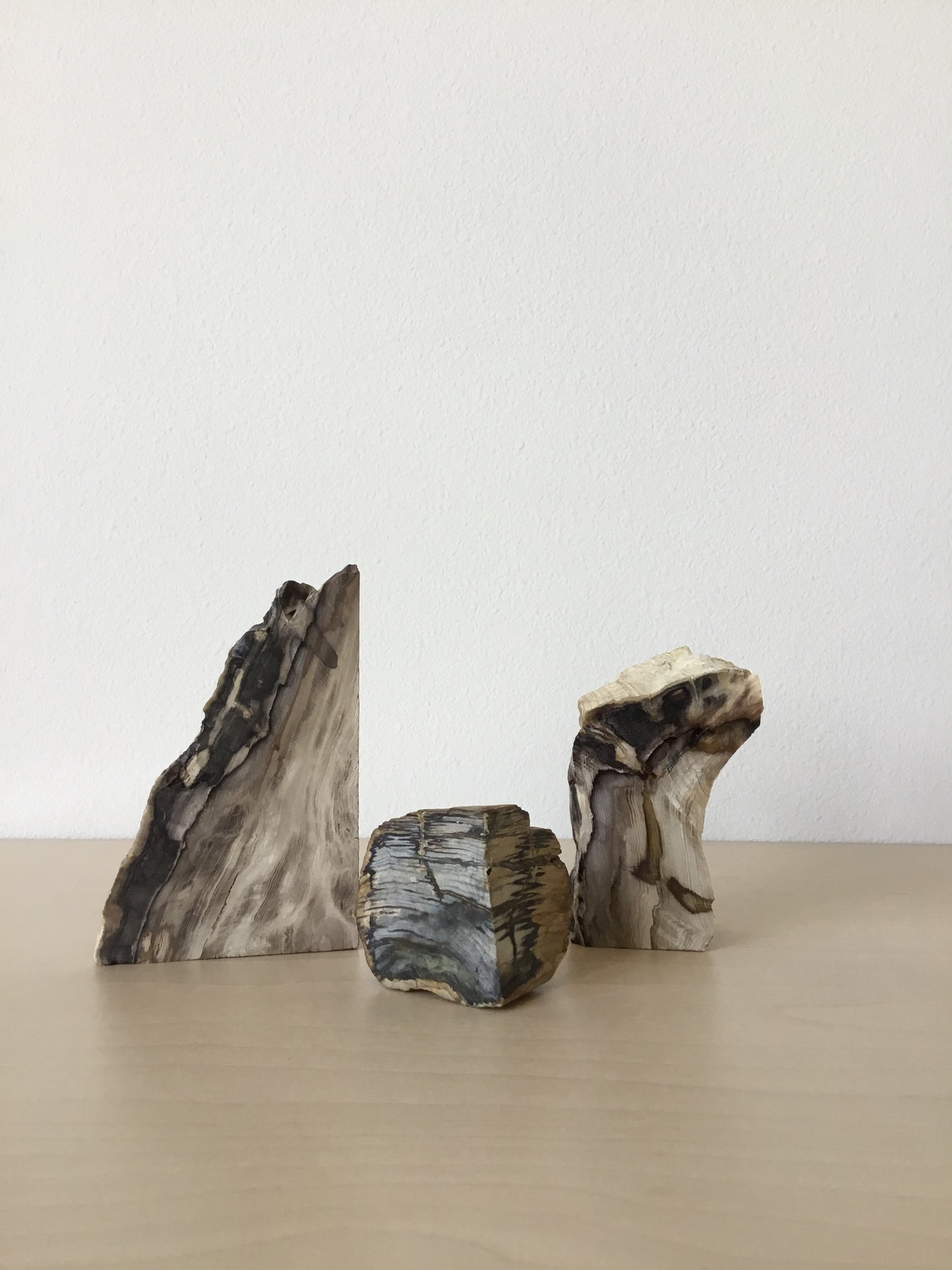 Natural petrified wood s/3
