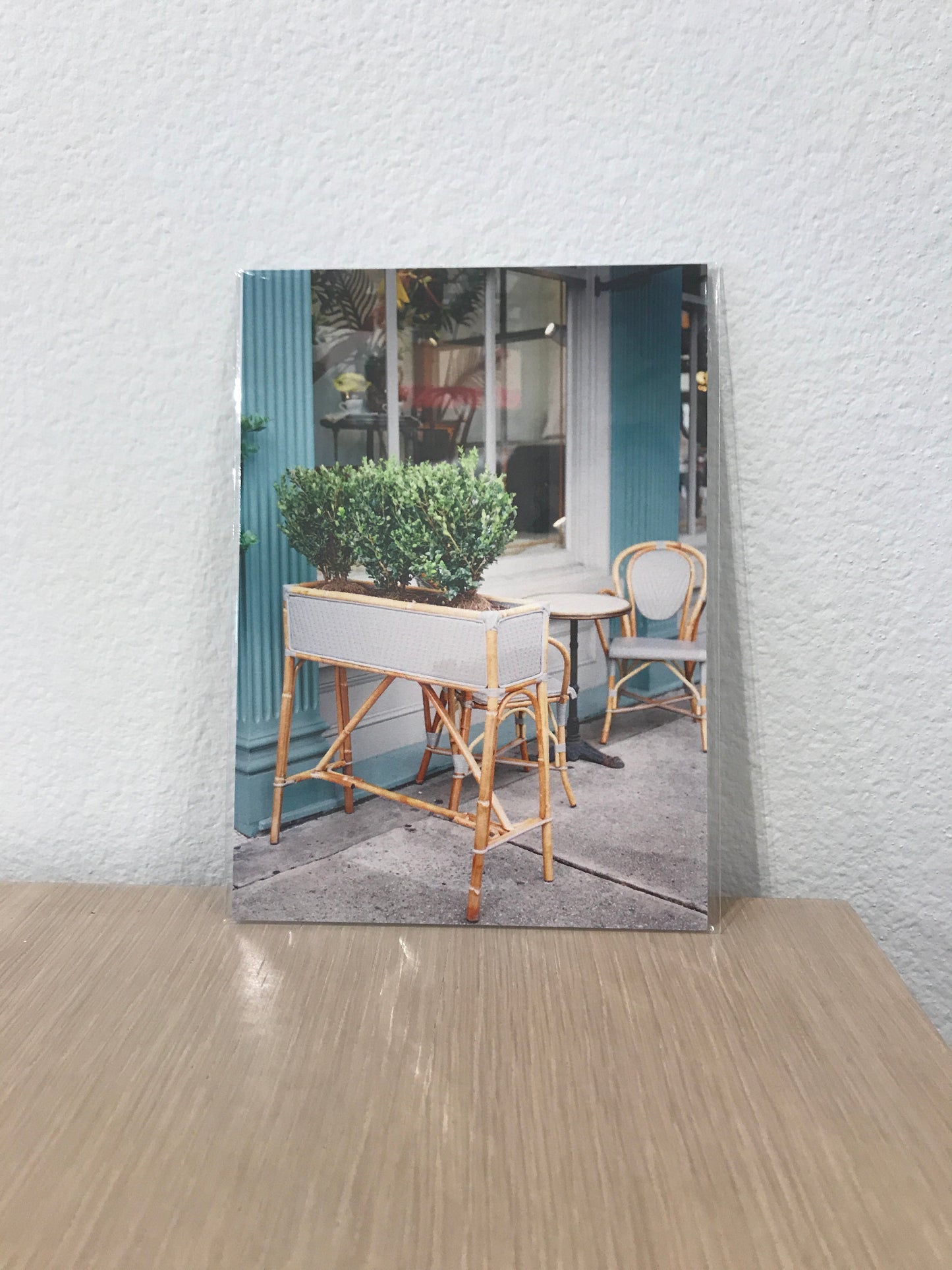 Paris Savannah 5x7 Print