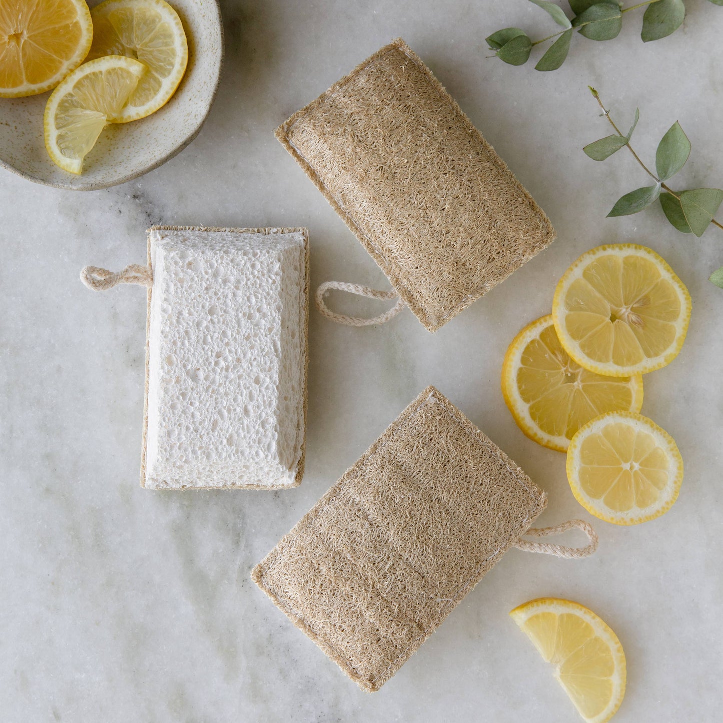 Natural Loofah + Cellulose Sponge