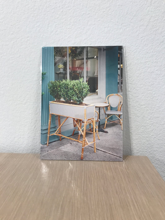 Paris Savannah 5x7 Print