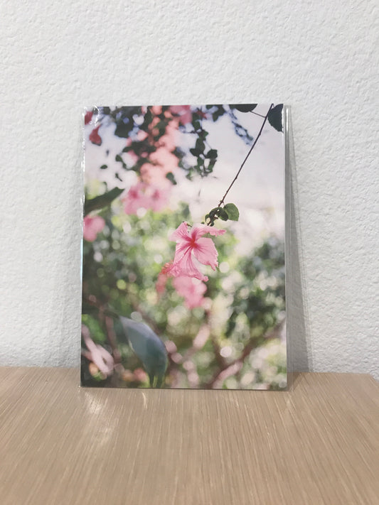 Pink Hibiscus 5x7 Print